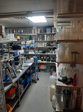 Lab Smalls